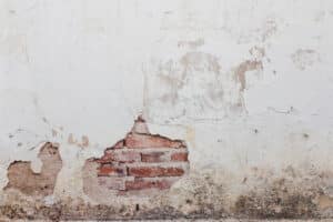 Schimmelbefall greift Bausubstanz an